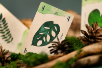13 Leaves - Deutsche Ausgabe