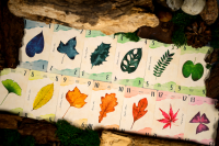 13 Leaves - Deutsche Ausgabe