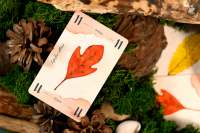 13 Leaves - Deutsche Ausgabe